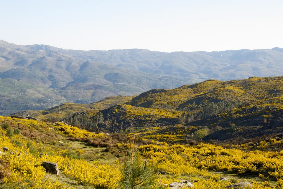 Peneda-Gerês