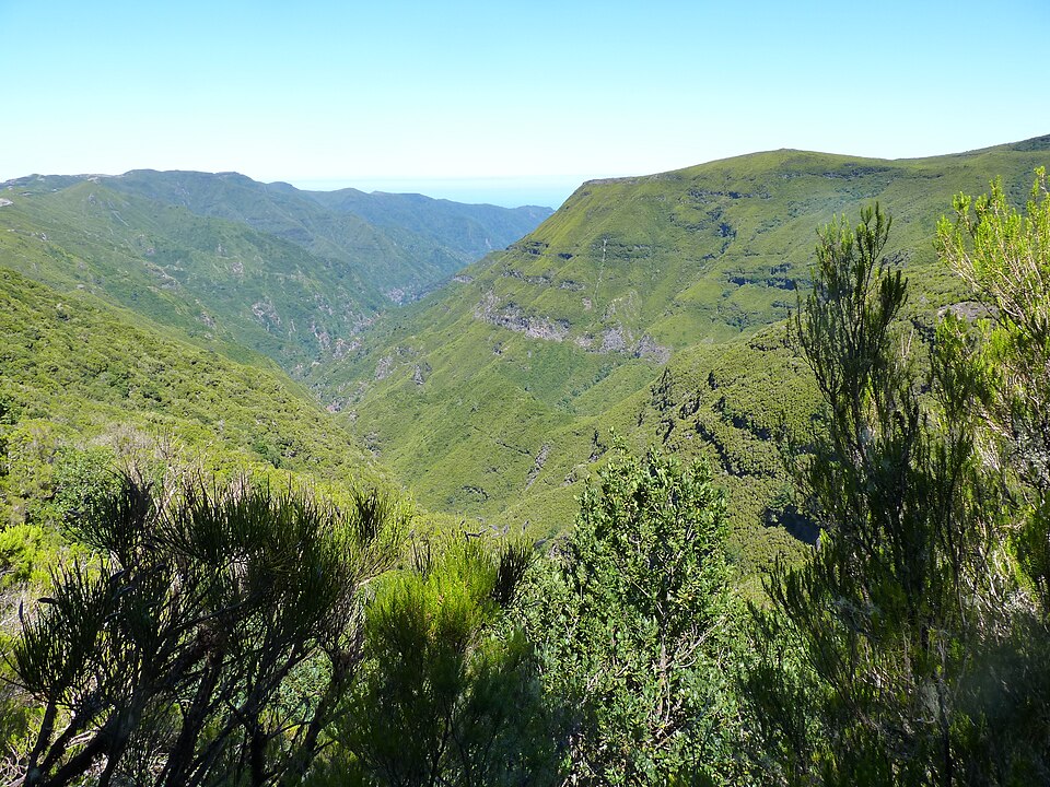 Paisagem: Madeira